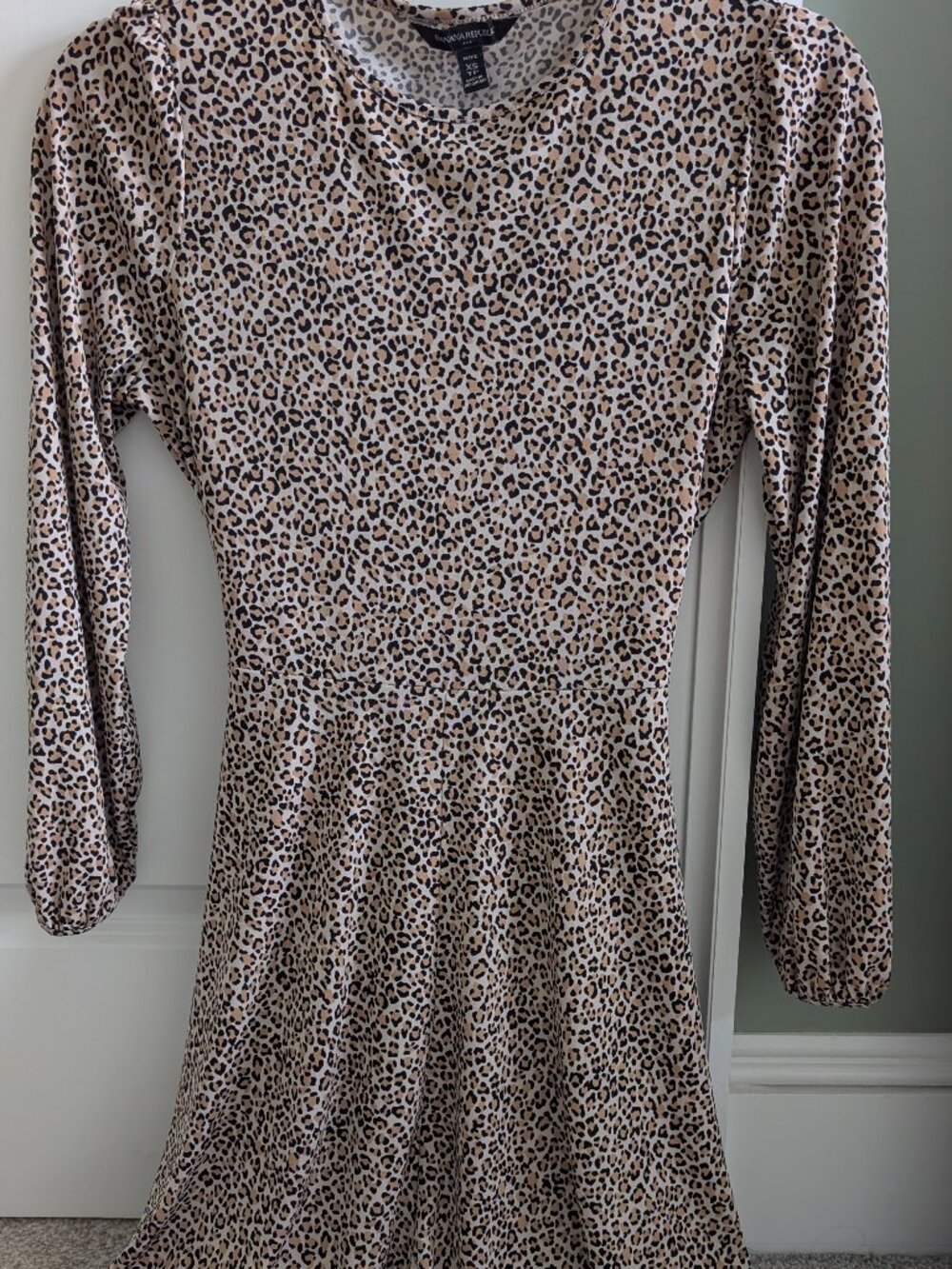Banana Republic Leopard Print Fit & Flare Dress | Women's XS